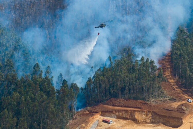 Chile’s wildfires are spreading faster and burning hotter